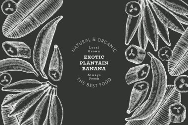 Elle çizilmiş taslak tarzı muz afişi. Tebeşir tahtasında organik taze meyve vektör çizimi. Retro egzotik muz meyve tasarım şablonu