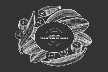 Elle çizilmiş taslak tarzı muz afişi. Tebeşir tahtasında organik taze meyve vektör çizimi. Retro egzotik muz meyve tasarım şablonu