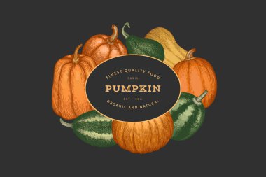 Kabak rengi tasarım şablonu. Vektör el çizimleri. Balkabağı hasadıyla geçmişe dönük Şükran Günü arkaplanı. Sonbahar arkaplanı.