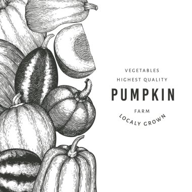 Balkabağı tasarım şablonu. Vektör el çizimleri. Balkabağı hasadıyla geçmişe dönük Şükran Günü arkaplanı. Sonbahar arkaplanı.