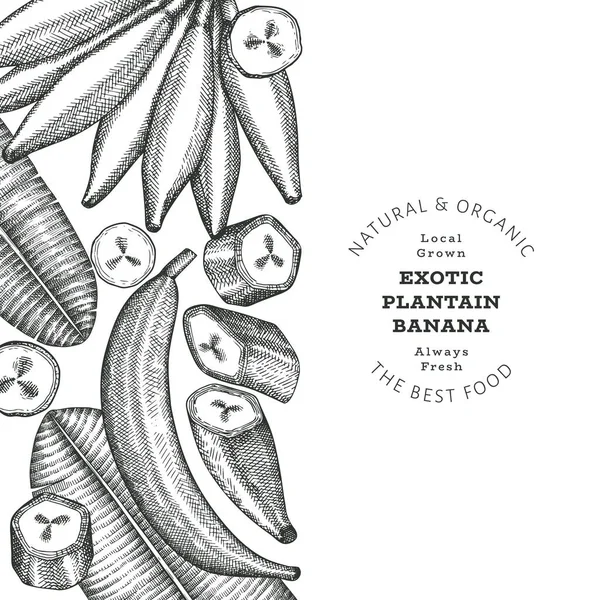 손으로 스케치 양식의 플래그 일러스트 이국적 바나나 열매로 — 스톡 벡터
