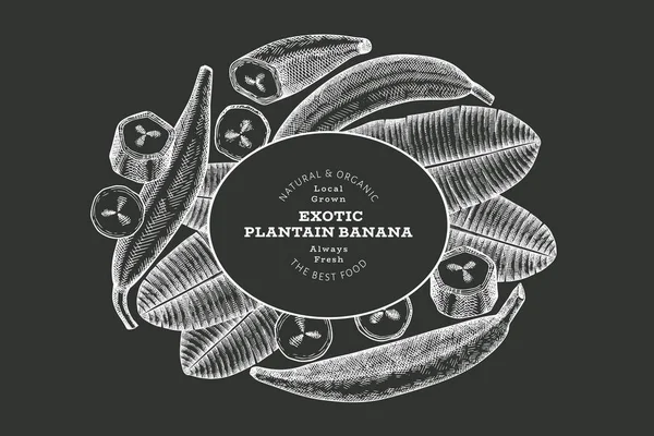 Elle çizilmiş taslak tarzı muz afişi. Tebeşir tahtasında organik taze meyve vektör çizimi. Retro egzotik muz meyve tasarım şablonu