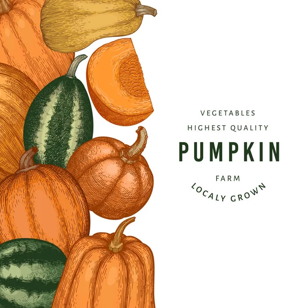 Kabak rengi tasarım şablonu. Vektör el çizimleri. Balkabağı hasadıyla geçmişe dönük Şükran Günü arkaplanı. Sonbahar arkaplanı.