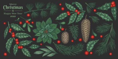 Noel el çizimi vektör bitkileri. Klasik botanik çizimler. Kış doğası renk bitkileri..