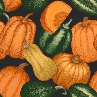 Balkabağı pürüzsüz desen. Vektör el çizimleri. Balkabağı hasadıyla geçmişe dönük Şükran Günü arkaplanı. Sonbahar arkaplanı.