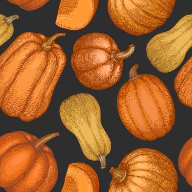 Balkabağı pürüzsüz desen. Vektör el çizimleri. Balkabağı hasadıyla geçmişe dönük Şükran Günü arkaplanı. Sonbahar arkaplanı.