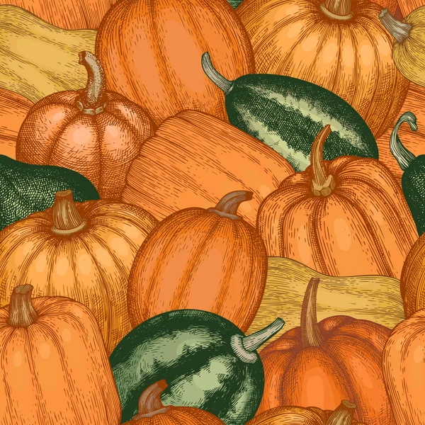 Pumpkin Seamless Pattern Vector Hand Drawn Illustrations Thanksgiving Backdrop Retro — Stock Vector