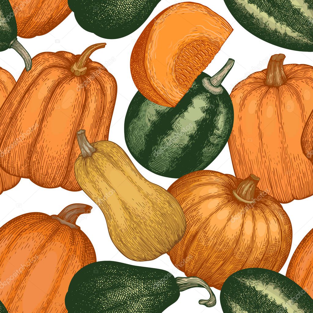 Pumpkin seamless pattern. Vector hand drawn illustrations. Thanksgiving backdrop in retro style with pumpkin harvest. Autumn background.