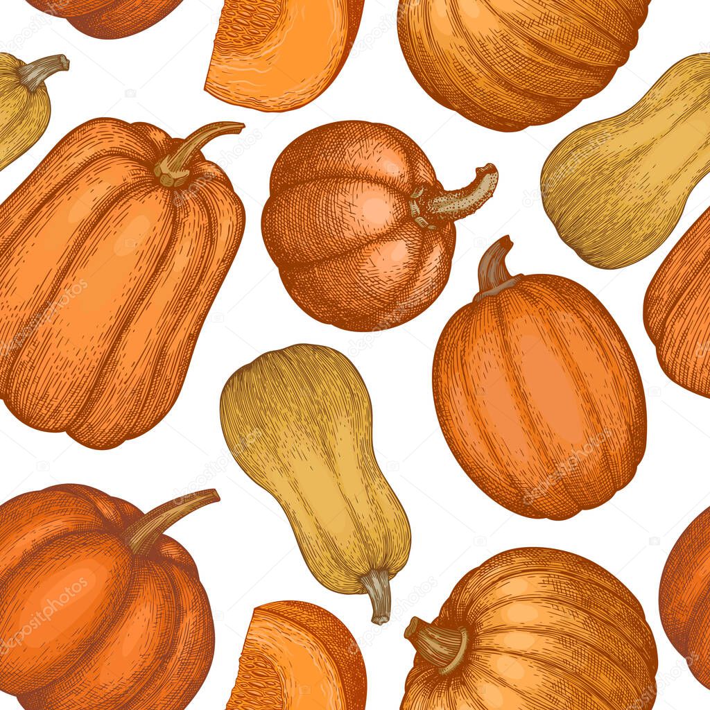 Pumpkin seamless pattern. Vector hand drawn illustrations. Thanksgiving backdrop in retro style with pumpkin harvest. Autumn background.