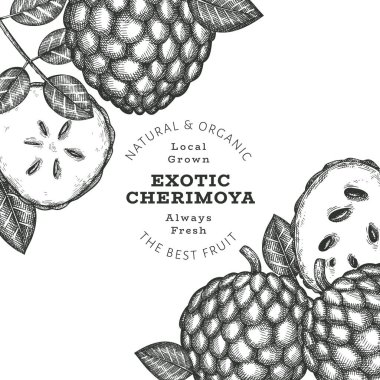El yapımı çizim stili Cherimoya afişi. Organik taze meyve vektörü çizimi. İşlenmiş stil botanik tasarım şablonu.