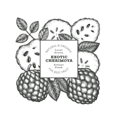 El yapımı çizim stili Cherimoya afişi. Organik taze meyve vektörü çizimi. İşlenmiş stil botanik tasarım şablonu.