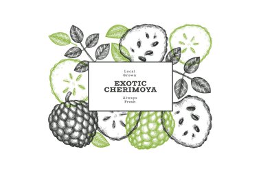 El yapımı çizim stili Cherimoya afişi. Organik taze meyve vektörü çizimi. İşlenmiş stil botanik tasarım şablonu.