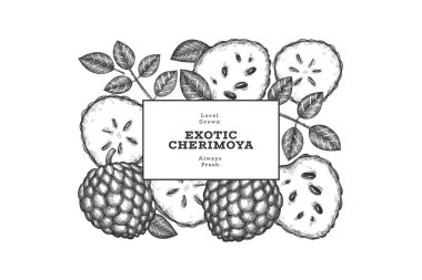 El yapımı çizim stili Cherimoya afişi. Organik taze meyve vektörü çizimi. İşlenmiş stil botanik tasarım şablonu.