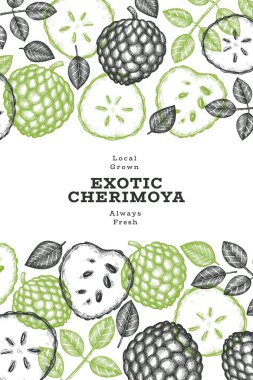 El yapımı çizim stili Cherimoya afişi. Organik taze meyve vektörü çizimi. İşlenmiş stil botanik tasarım şablonu.