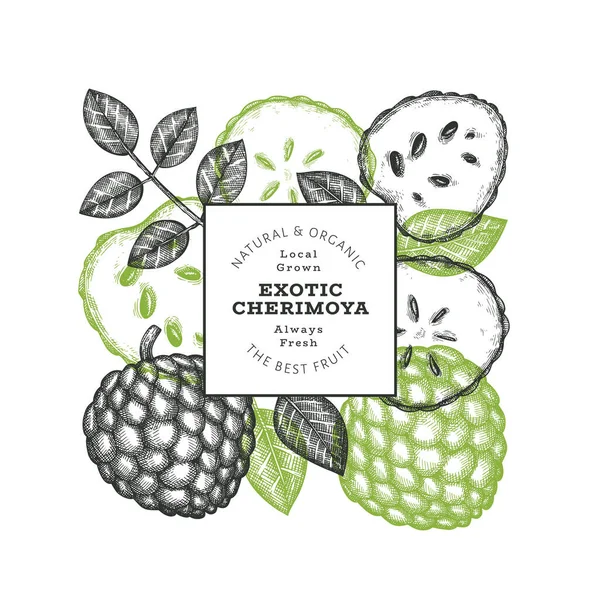 El yapımı çizim stili Cherimoya afişi. Organik taze meyve vektörü çizimi. İşlenmiş stil botanik tasarım şablonu.