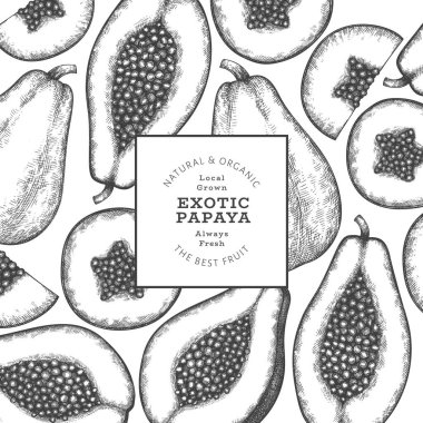 El çizimi papaya afişi. Organik taze meyve vektörü çizimi. Retro meyve tasarım şablonu