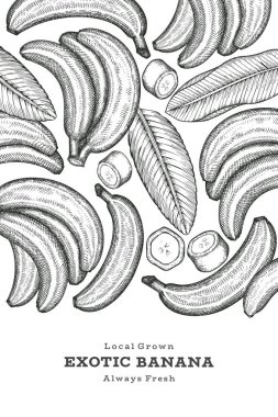 Elle çizilmiş muz pankartı. Organik taze meyve vektörü çizimi. Retro egzotik meyve tasarım şablonu