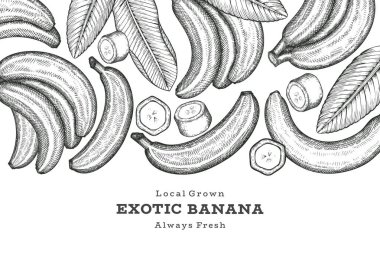 Elle çizilmiş muz pankartı. Organik taze meyve vektörü çizimi. Retro egzotik meyve tasarım şablonu