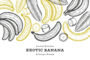 Elle çizilmiş muz pankartı. Organik taze meyve vektörü çizimi. Retro egzotik meyve tasarım şablonu