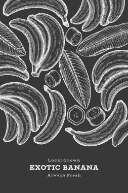 Elle çizilmiş muz pankartı. Tebeşir tahtasında organik taze meyve vektör çizimi. Retro egzotik meyve tasarım şablonu