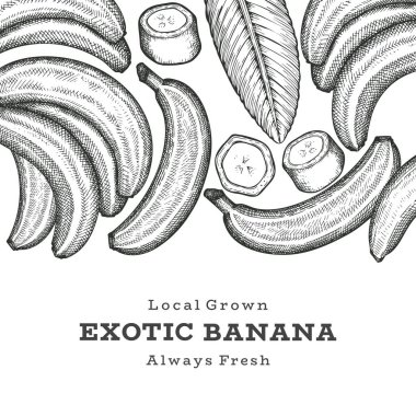 Elle çizilmiş muz pankartı. Organik taze meyve vektörü çizimi. Retro egzotik meyve tasarım şablonu