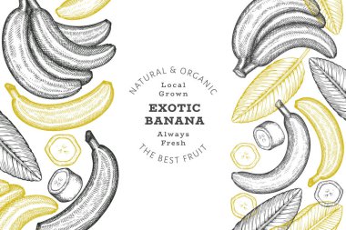 Elle çizilmiş muz pankartı. Organik taze meyve vektörü çizimi. Retro egzotik meyve tasarım şablonu