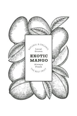 El çizimi mango afişi. Organik taze meyve vektörü çizimi. Retro mango meyve tasarım şablonu