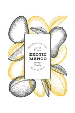 El çizimi mango afişi. Organik taze meyve vektörü çizimi. Retro mango meyve tasarım şablonu