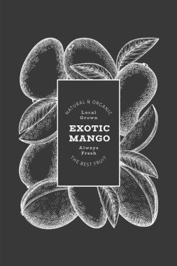 El çizimi mango afişi. Tebeşir tahtasında organik taze meyve vektör çizimi. Retro mango meyve tasarım şablonu