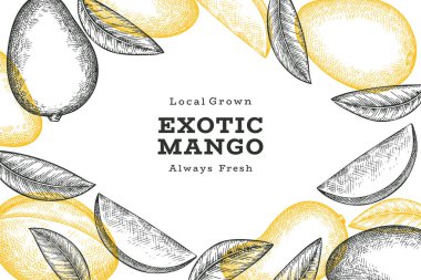 El çizimi mango afişi. Organik taze meyve vektörü çizimi. Retro mango meyve tasarım şablonu