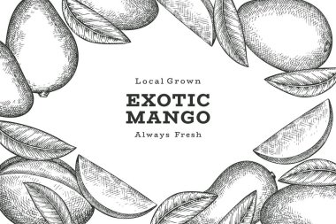 El çizimi mango afişi. Organik taze meyve vektörü çizimi. Retro mango meyve tasarım şablonu