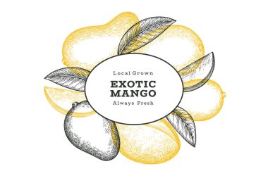 El çizimi mango afişi. Organik taze meyve vektörü çizimi. Retro mango meyve tasarım şablonu