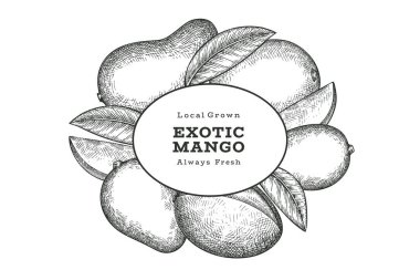 El çizimi mango afişi. Organik taze meyve vektörü çizimi. Retro mango meyve tasarım şablonu