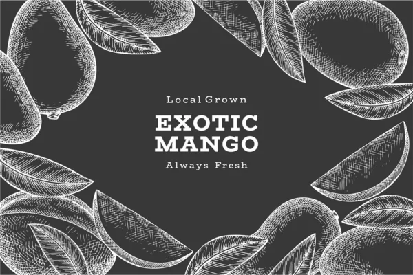 El çizimi mango afişi. Tebeşir tahtasında organik taze meyve vektör çizimi. Retro mango meyve tasarım şablonu