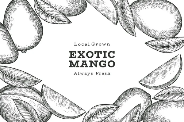El çizimi mango afişi. Organik taze meyve vektörü çizimi. Retro mango meyve tasarım şablonu