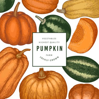 Kabak rengi tasarım şablonu. Vektör el çizimleri. Balkabağı hasadıyla geçmişe dönük Şükran Günü arkaplanı. Sonbahar arkaplanı.