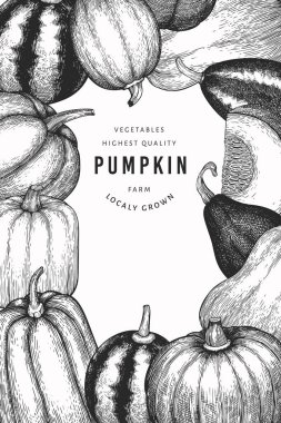 Kabak rengi tasarım şablonu. Vektör el çizimleri. Balkabağı hasadıyla geçmişe dönük Şükran Günü arkaplanı. Sonbahar arkaplanı.