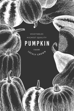 Balkabağı tasarım şablonu. Tebeşir tahtasında vektör el çizimleri. Balkabağı hasadıyla geçmişe dönük Şükran Günü arkaplanı. Sonbahar arkaplanı.