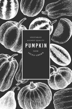 Balkabağı tasarım şablonu. Tebeşir tahtasında vektör el çizimleri. Balkabağı hasadıyla geçmişe dönük Şükran Günü arkaplanı. Sonbahar arkaplanı.