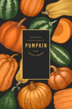 Kabak rengi tasarım şablonu. Vektör el çizimleri. Balkabağı hasadıyla geçmişe dönük Şükran Günü arkaplanı. Sonbahar arkaplanı.