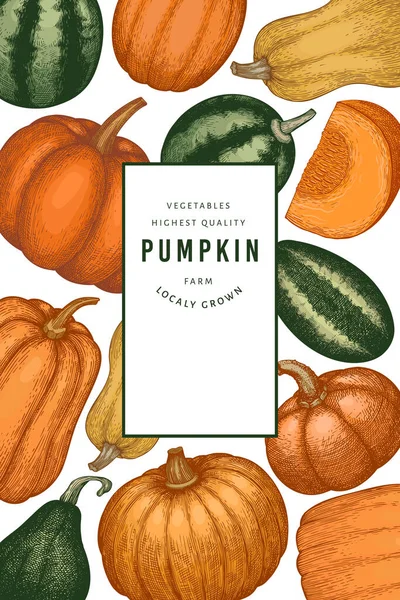 Kabak rengi tasarım şablonu. Vektör el çizimleri. Balkabağı hasadıyla geçmişe dönük Şükran Günü arkaplanı. Sonbahar arkaplanı.