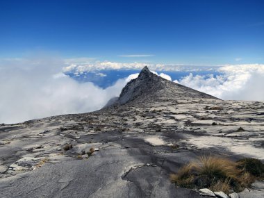 Kinabalu Dağı, Borneo, Malezya