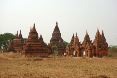 pagodadan bagan, Grup