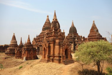 pagodadan bagan, Grup