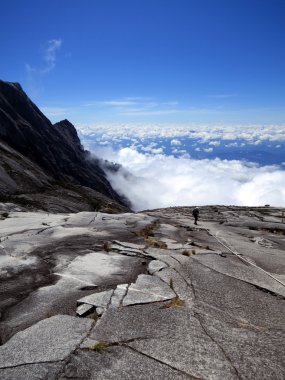 Kinabalu Dağı, Borneo, Malezya