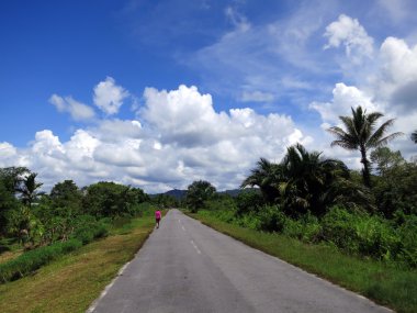 ormandaki yolda yürüyen tanınmaz halde genç kadın