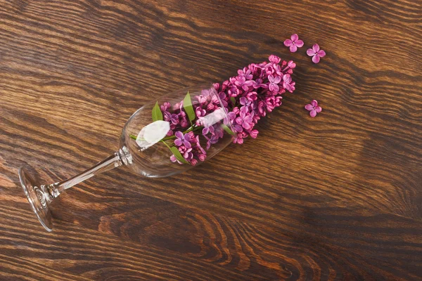 与紫色的丁香花的空酒杯 — 图库照片
