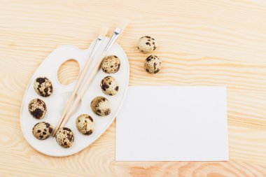 Palet bıldırcın yumurtası ve Boya fırçaları