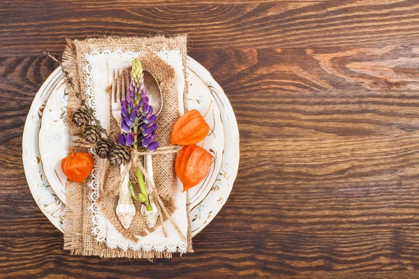 Turuncu Physalis ve gümüş sofra — Stok fotoğraf