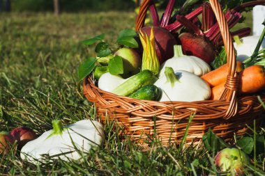 Farklı sebze sepeti havada